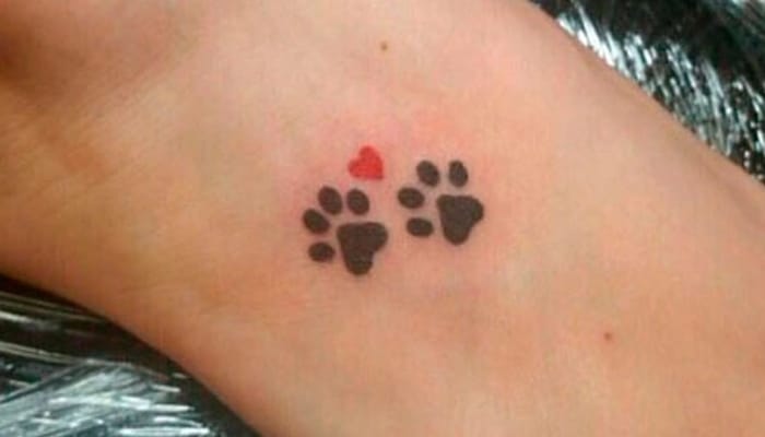 tatuajes huellas de perro