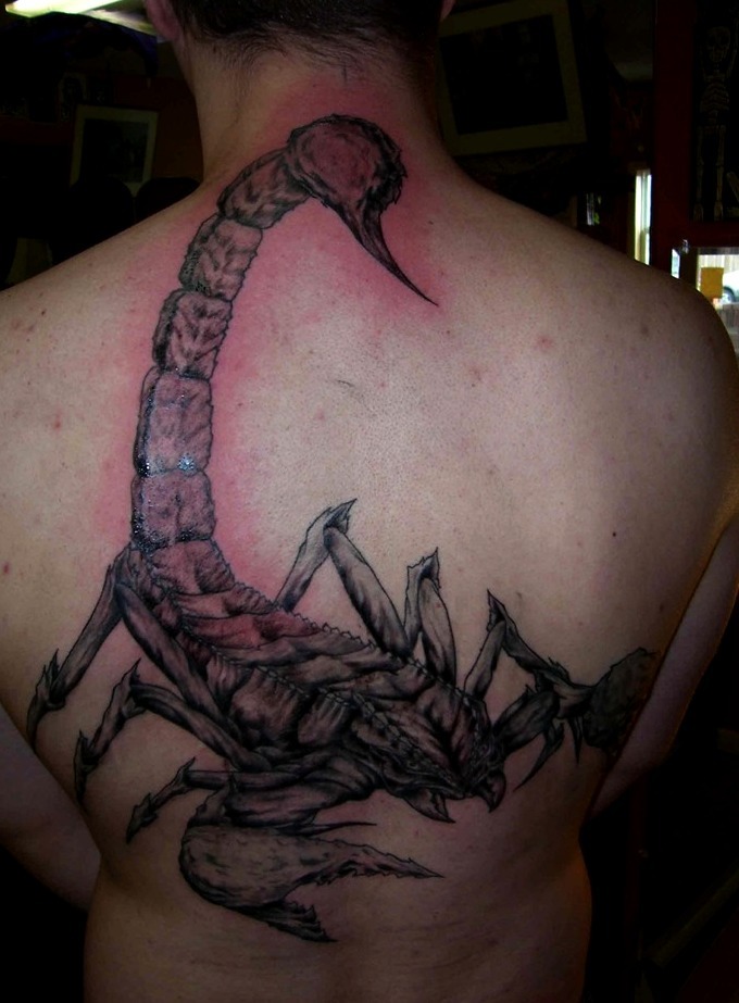 Tattoos de escorpiones en la espalda