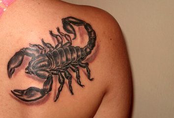 Tattoos de escorpiones en la espalda