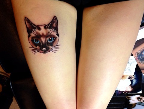 Tattoos de gato siamés
