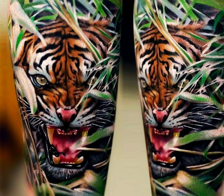 Tattoos de tigres rugiendo