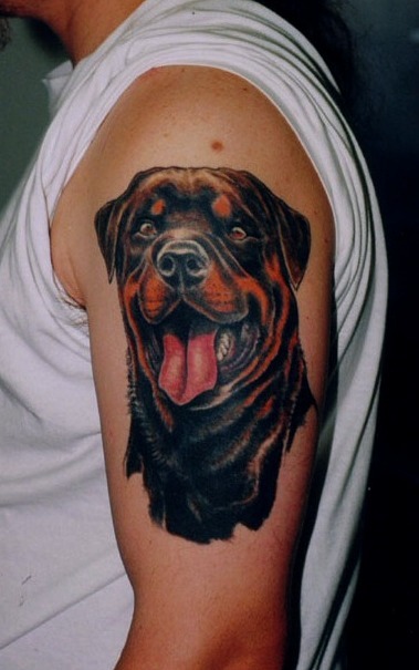 Tatuajes de perro rottweiler