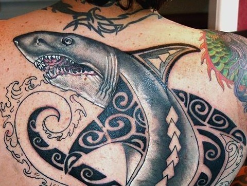 Tatuajes de tiburones tribales: maories y polinesios